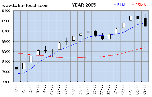 ߔNx`[g2005_11