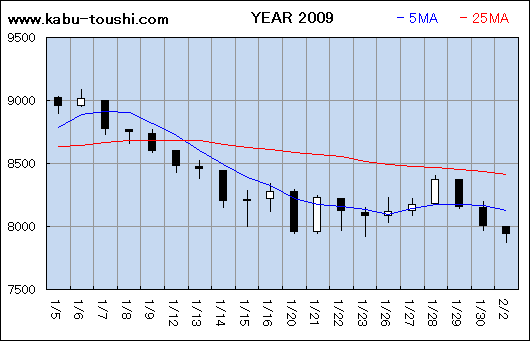 ߔNx`[g2009_01