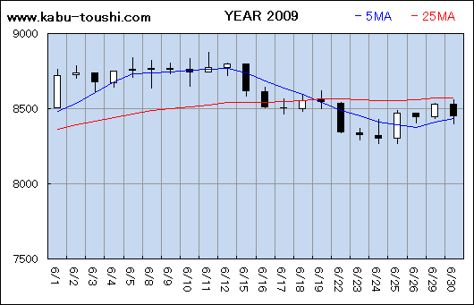 ߔNx`[g2009_06