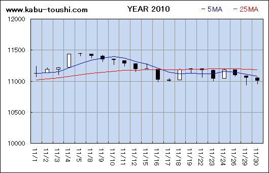 ߔNx`[g2010_11